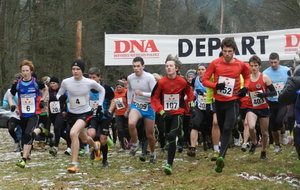 Cross de Wingen sur Moder