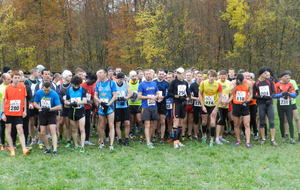 4° cross de Hirschland