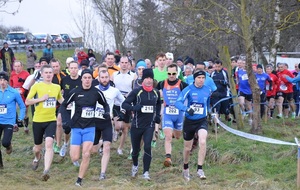 6° cross de Schneckenbusch