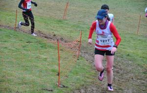 Demi finale du Championnat de France de Cross à Montbéliard
