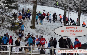 MEILLEURS VOEUX 2016