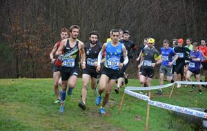 CROSS DE SCHAEFERHOF