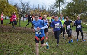 CROSS DE SCHENCKENBUSCH 6 NOVEMBRE 2016