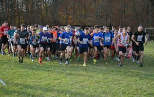 7° CROSS DE HIRSCHLAND 20 NOVEMBRE 2016