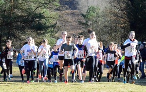 20° CROSS DE WINGEN SUR MODER 26 FÉVRIER