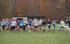 9° CROSS DE HIRSCHLAND