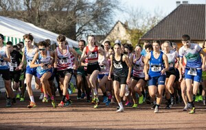 25° CROSS DE SARRE-UNION 11/11/2026