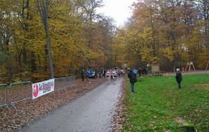 p1013064.JPG