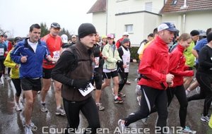 IMG_9732.jpeg