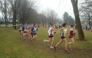 54e451a891f77_109801623440995357916524347235657490768869o.jpg