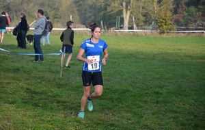 5be0049321823_453859711928578900772437604138981847728128n.jpg