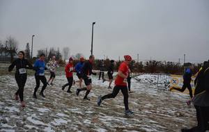 5c1779fca5245_4841763019500780219558583863631895195549696o.jpg