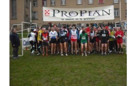 cross de Insming 