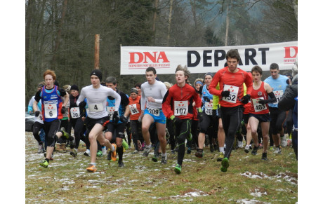 Cross de Wingen sur Moder