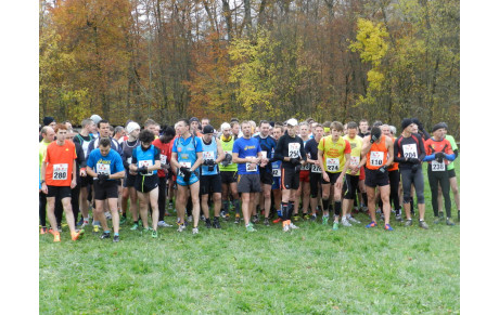 4° cross de Hirschland