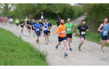 FOULÉES VERTES 19 AVRIL 2014