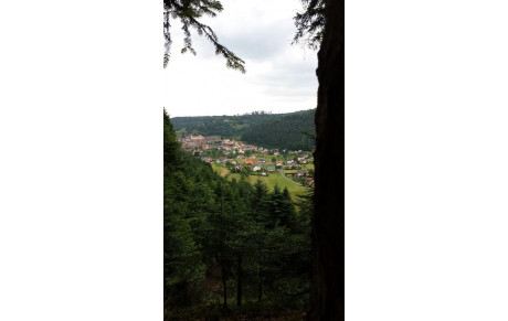 7° TRAIL DE LA BIÈVRE À WALSCHEID