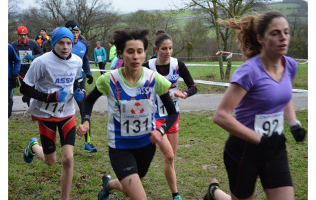 6° CROSS DE HIRSCHLAND 29 NOVEMBRE 2015