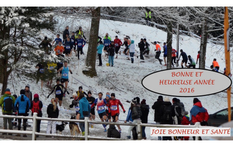 MEILLEURS VOEUX 2016