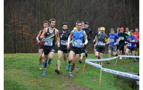 CROSS DE SCHAEFERHOF
