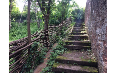 URBAN TRAIL NIEDERBRONN 11 SEPTEMBRE 2020