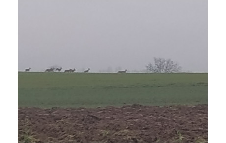 3° ÉTAPE VIRTUELLE DU 33° TROPHÉE PAUL MICHAUX