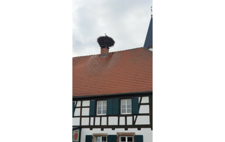 40° COURSES DE WALDOWISHEIM 13 JUILLET 2021